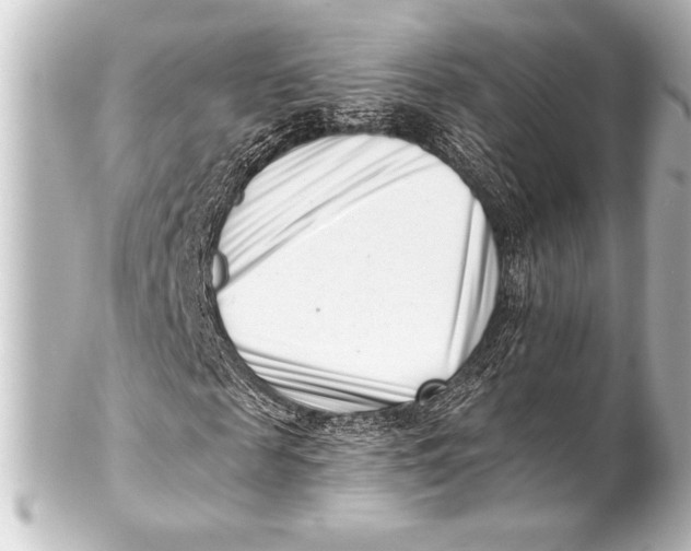 X0000101420817200807280935