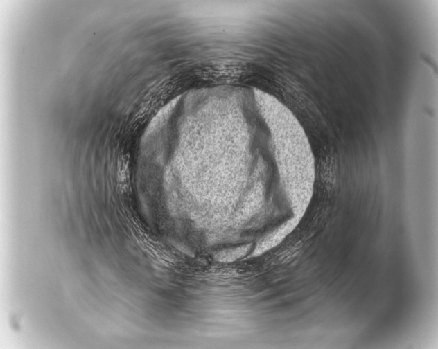 X0000101420818200807280935