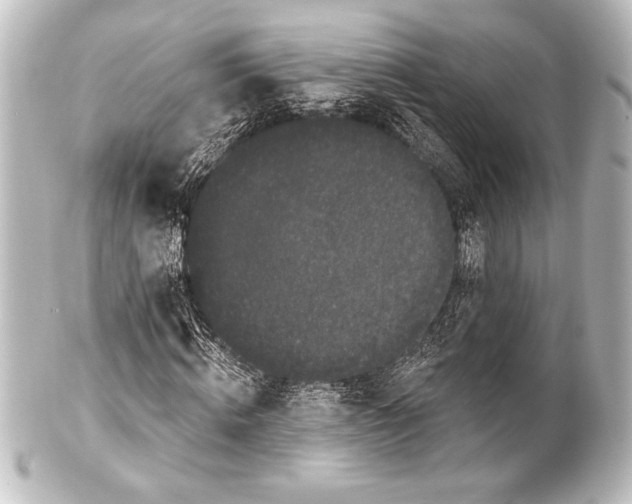 X0000101420820200807280936