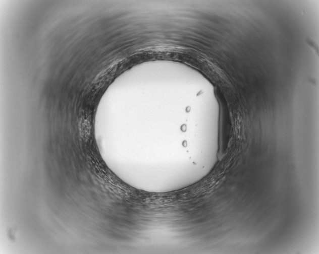 X0000101420821200807280936