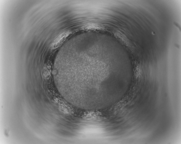 X0000101420824200807280936