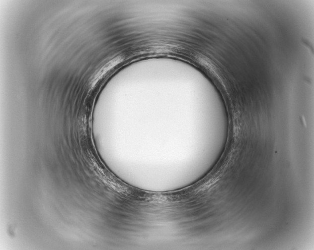 X0000101420827200807280936