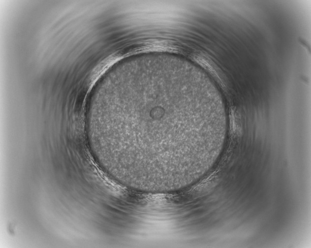 X0000101420828200807280936