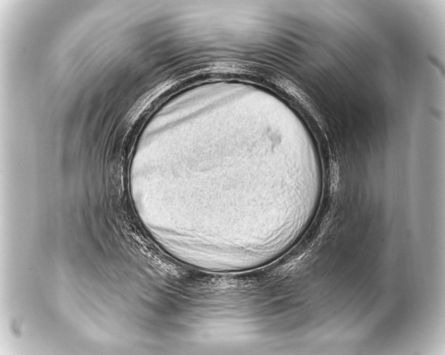 X0000101420829200807280936