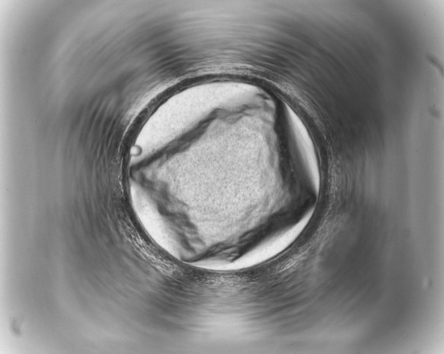 X0000101420830200807280936