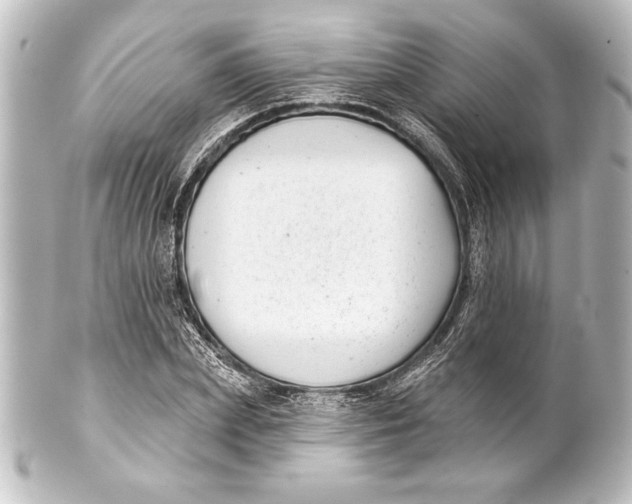 X0000101420831200807280936