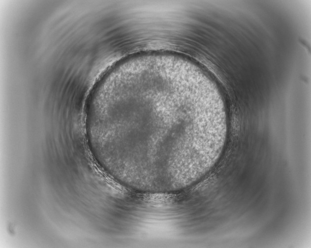 X0000101420832200807280936