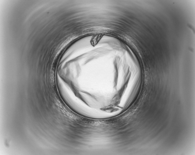 X0000101420835200807280936