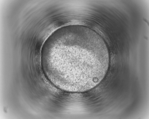 X0000101420836200807280936