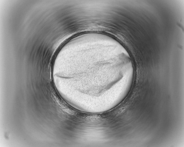 X0000101420838200807280936