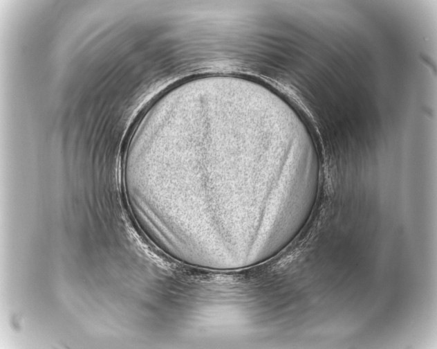 X0000101420839200807280936