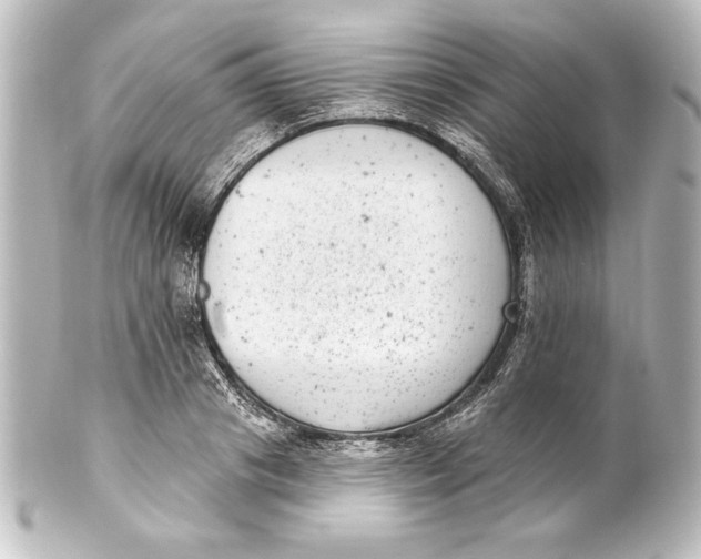 X0000101420841200807280936