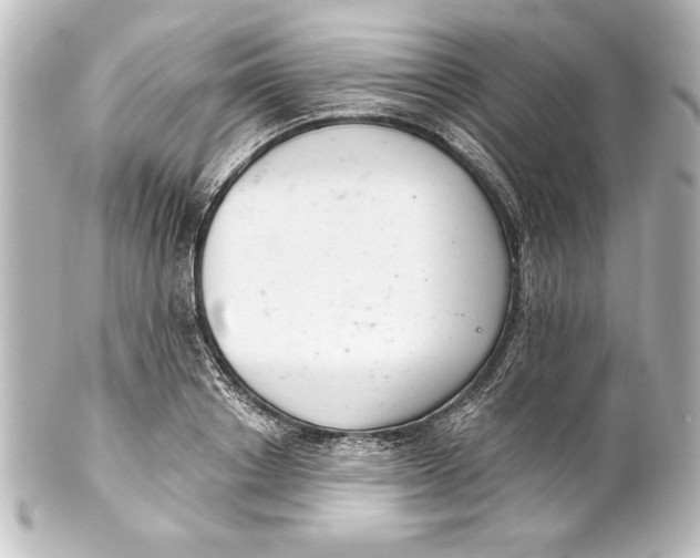 X0000101420842200807280936