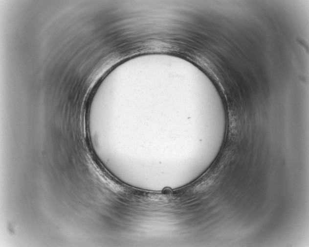 X0000101420843200807280936