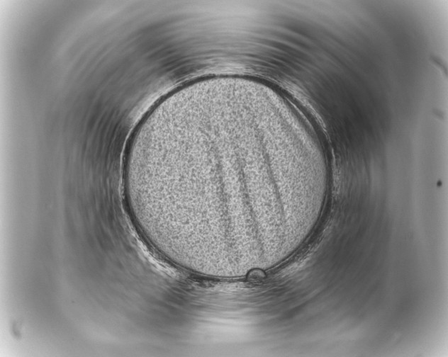 X0000101420845200807280936