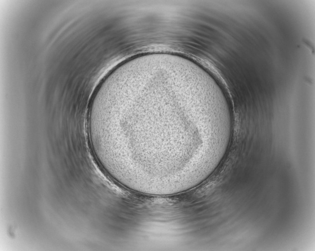 X0000101420847200807280936