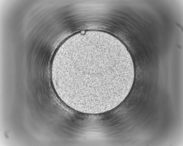 X0000101420848200807280936