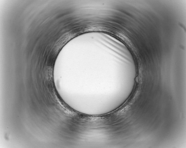 X0000101420849200807280936