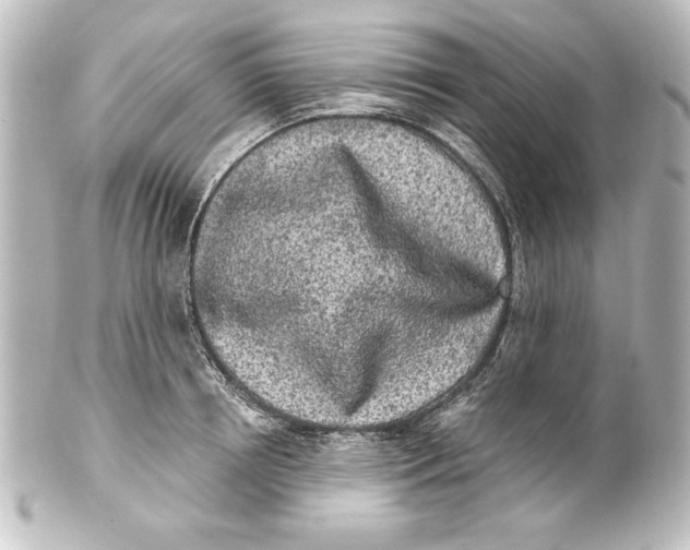 X0000101420850200807280936