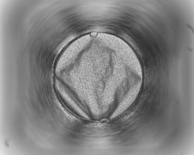 X0000101420853200807280936