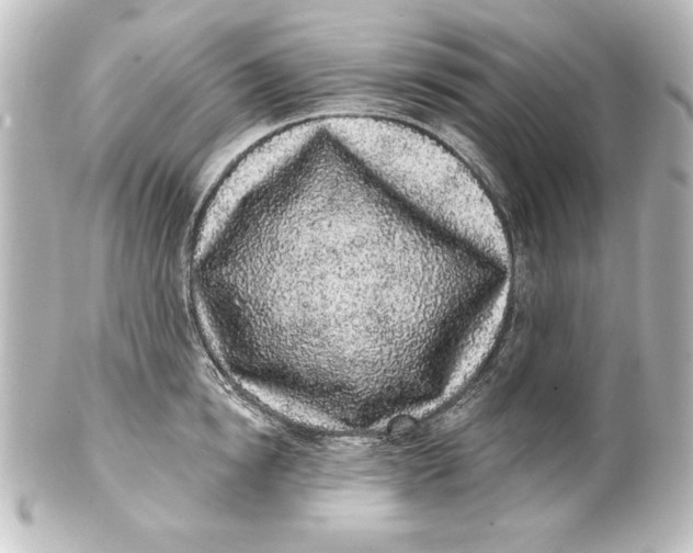 X0000101420854200807280936