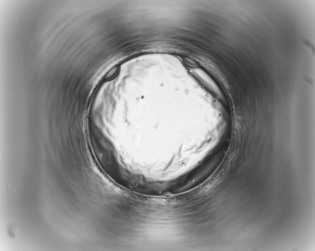 X0000101420855200807280936