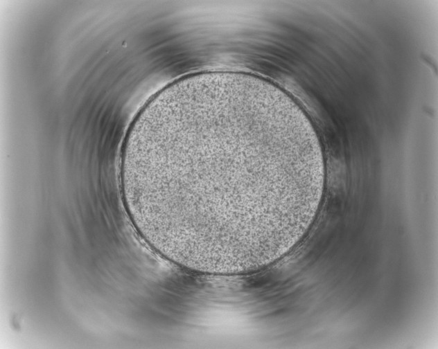 X0000101420856200807280936