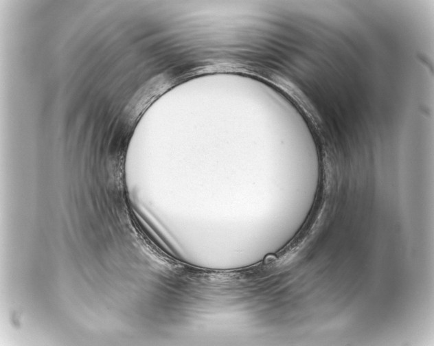 X0000101420857200807280936