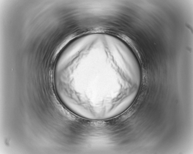 X0000101420859200807280936