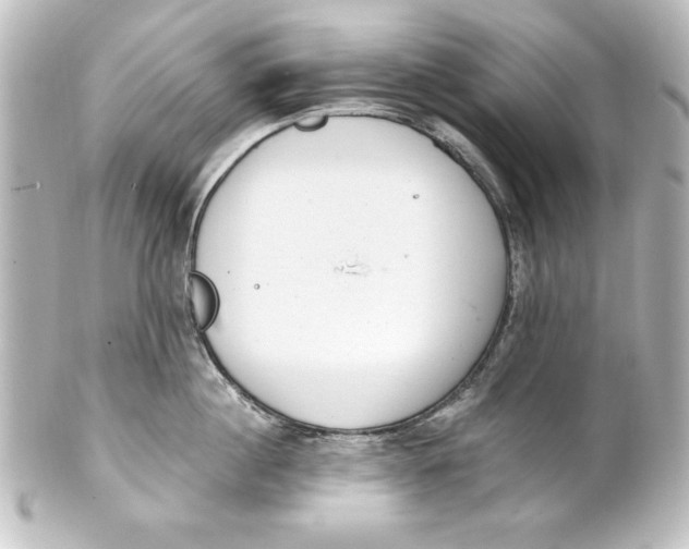 X0000101420860200807280936