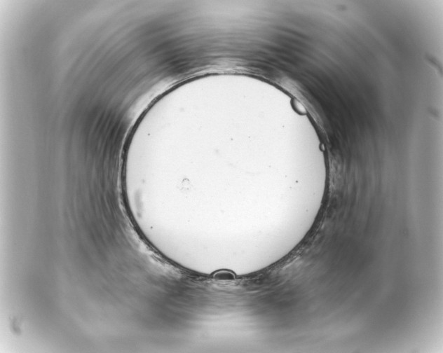 X0000101420861200807280936