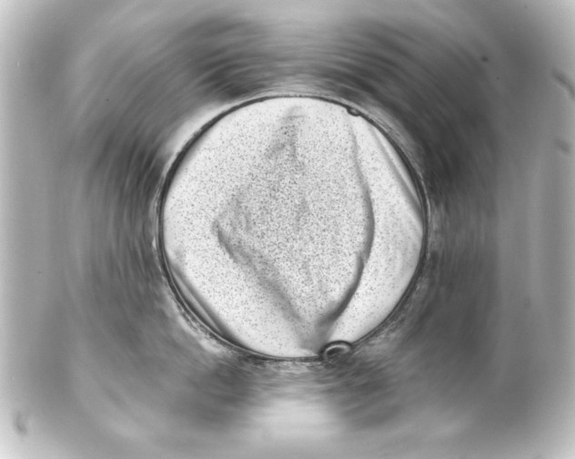 X0000101420862200807280936