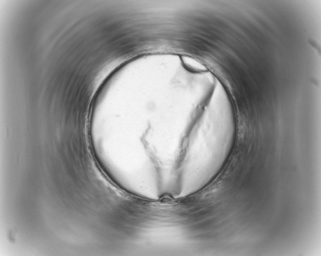 X0000101420863200807280936