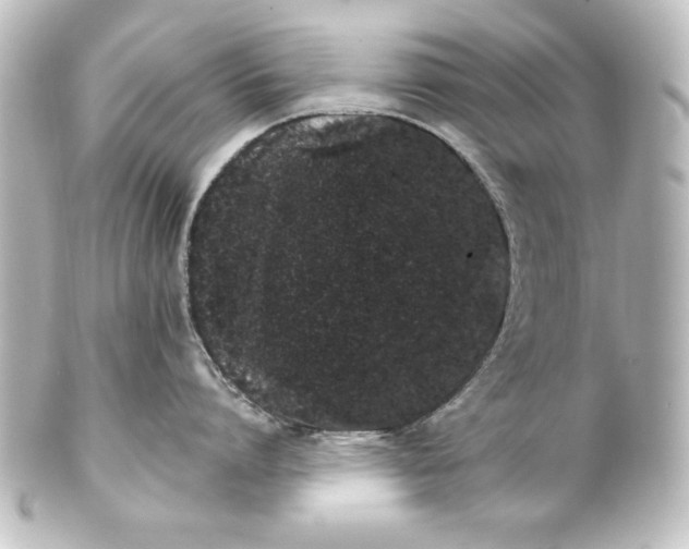 X0000101420864200807280936