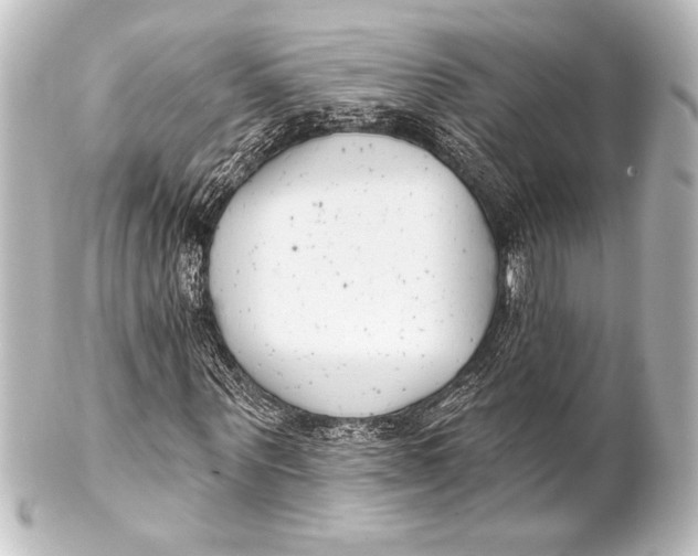 X0000101420867200807280935