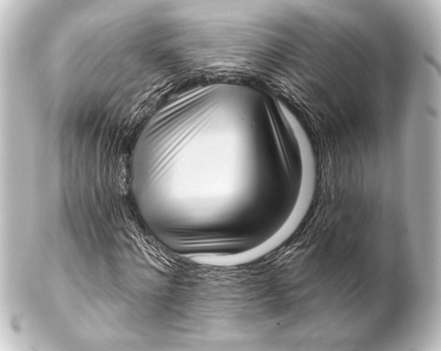 X0000101420868200807280935