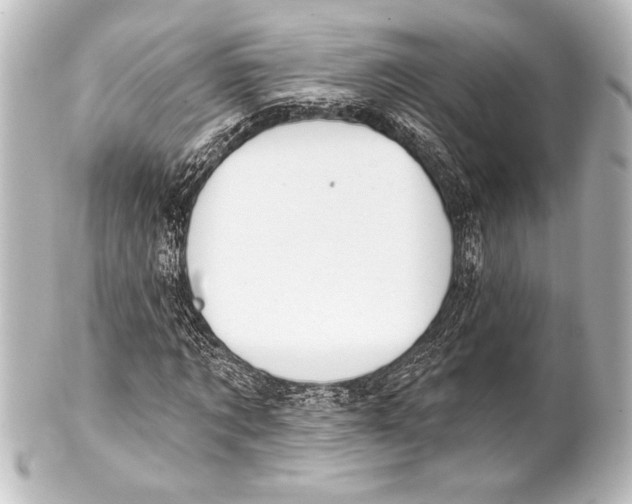 X0000101420869200807280935