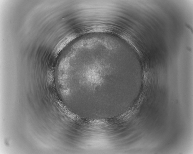 X0000101420874200807280935