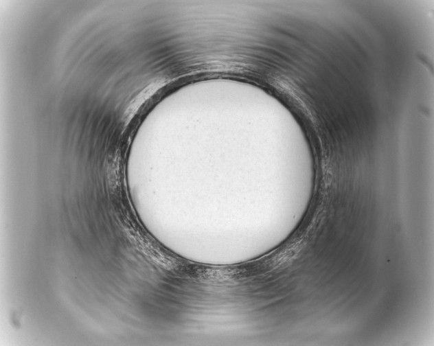 X0000101420875200807280935