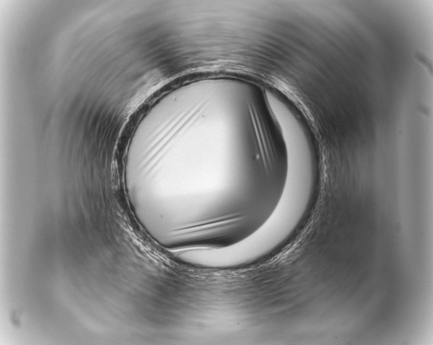 X0000101420876200807280935