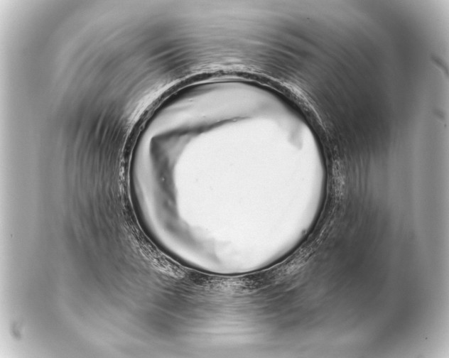 X0000101420879200807280935