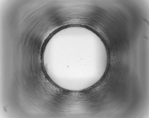 X0000101420880200807280935