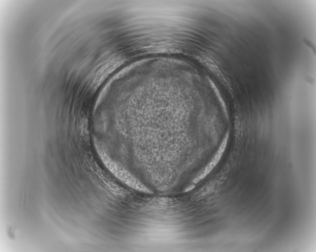 X0000101420881200807280935