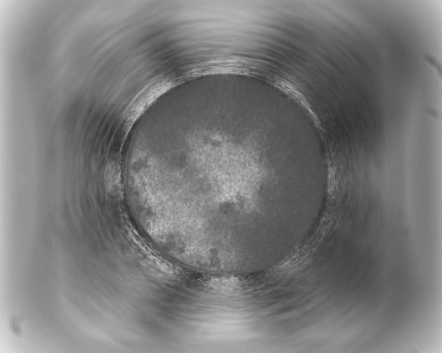 X0000101420882200807280935