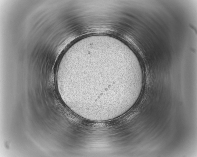 X0000101420883200807280935