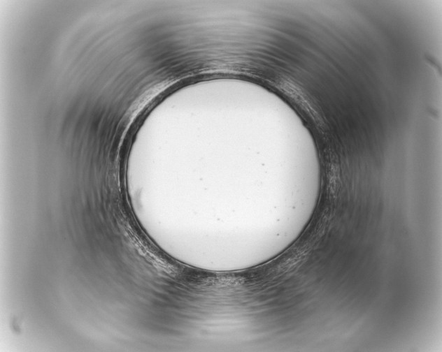 X0000101420884200807280935