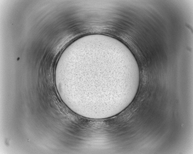 X0000101420886200807280935