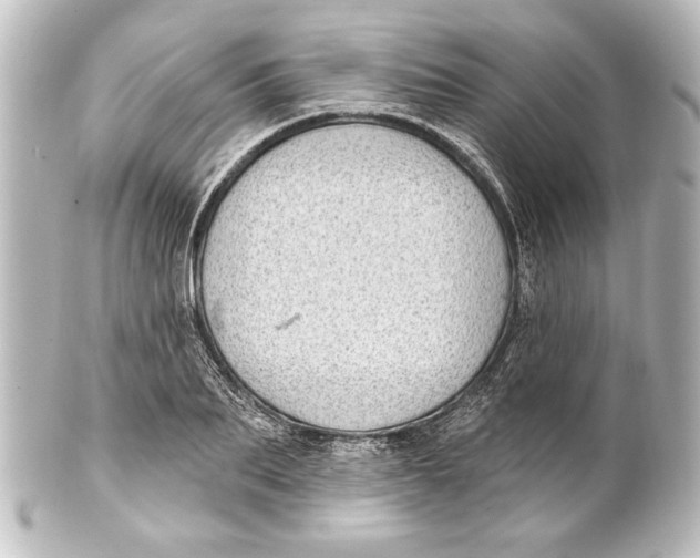 X0000101420887200807280935