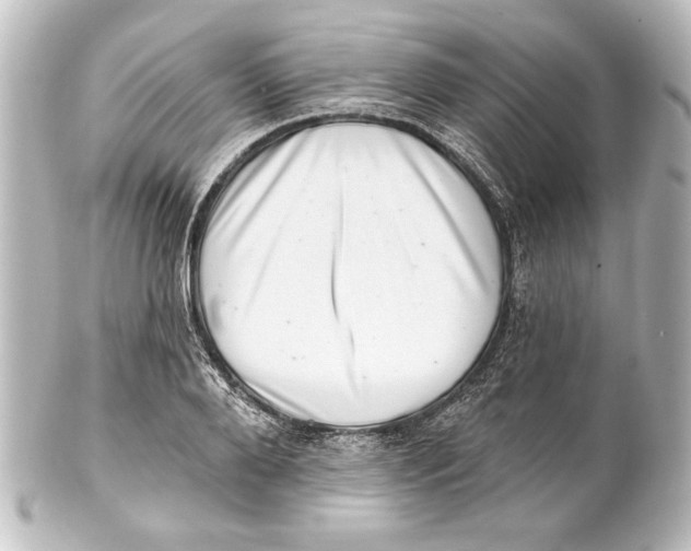 X0000101420888200807280935