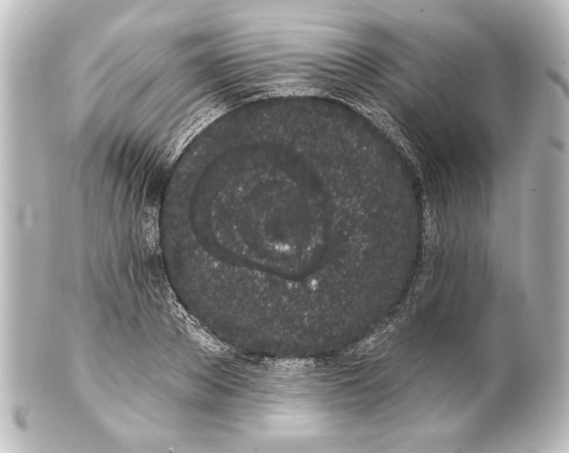 X0000101420889200807280935